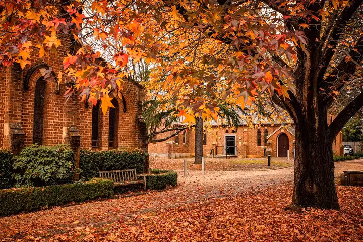 Autumn leaves adorn a picturesque vineyard setting in the Southern Highlands near Sydney.