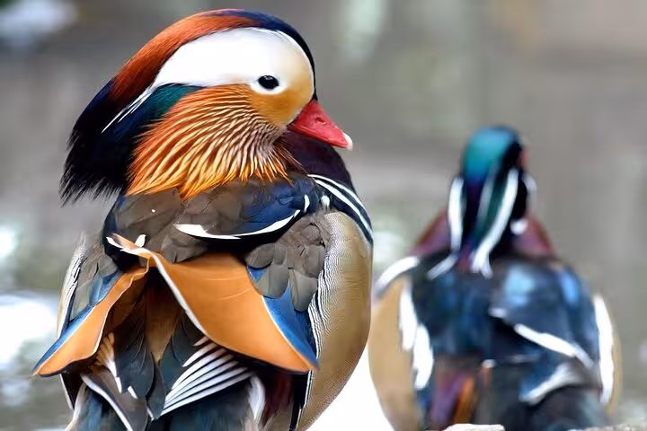 Breathtaking view from Table Mountain cable car, capturing Cape Town's stunning landscape and sea, ideal for private tours.
