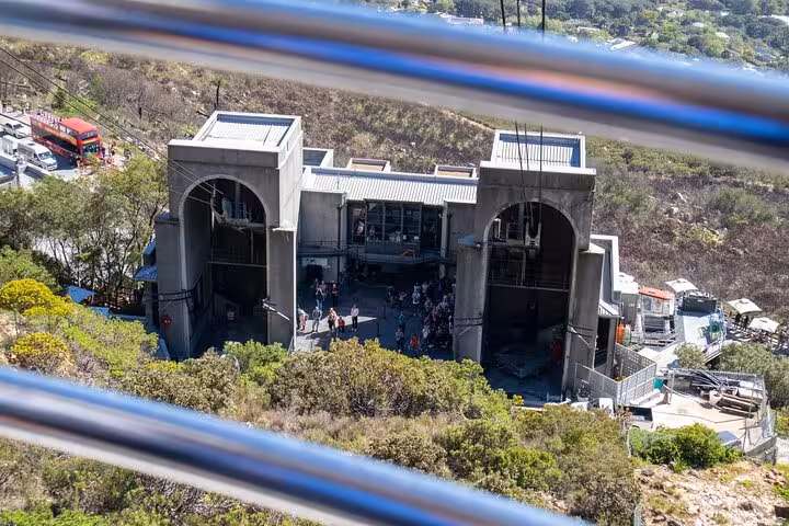 View of Table Mountain cable car station surrounded by lush greenery, perfect for a scenic adventure tour.