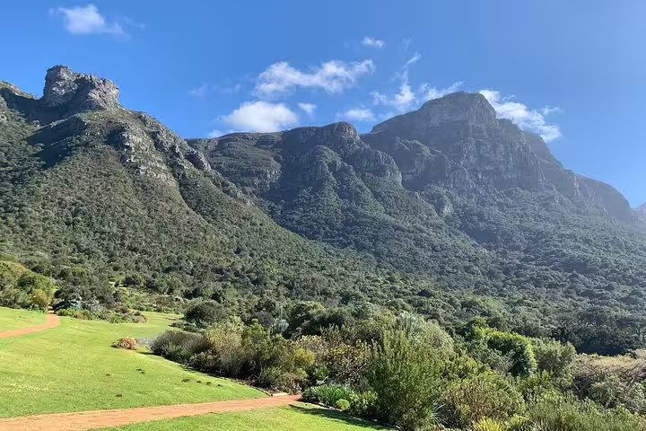 Scenic view of Table Mountain's lush green slopes under a clear blue sky in Cape Town, South Africa.