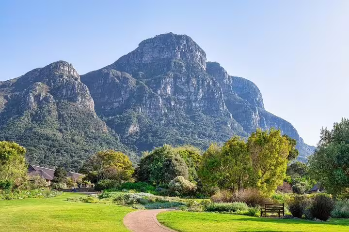Scenic view of Table Mountain and lush gardens during private Cape Town chauffeur tour.