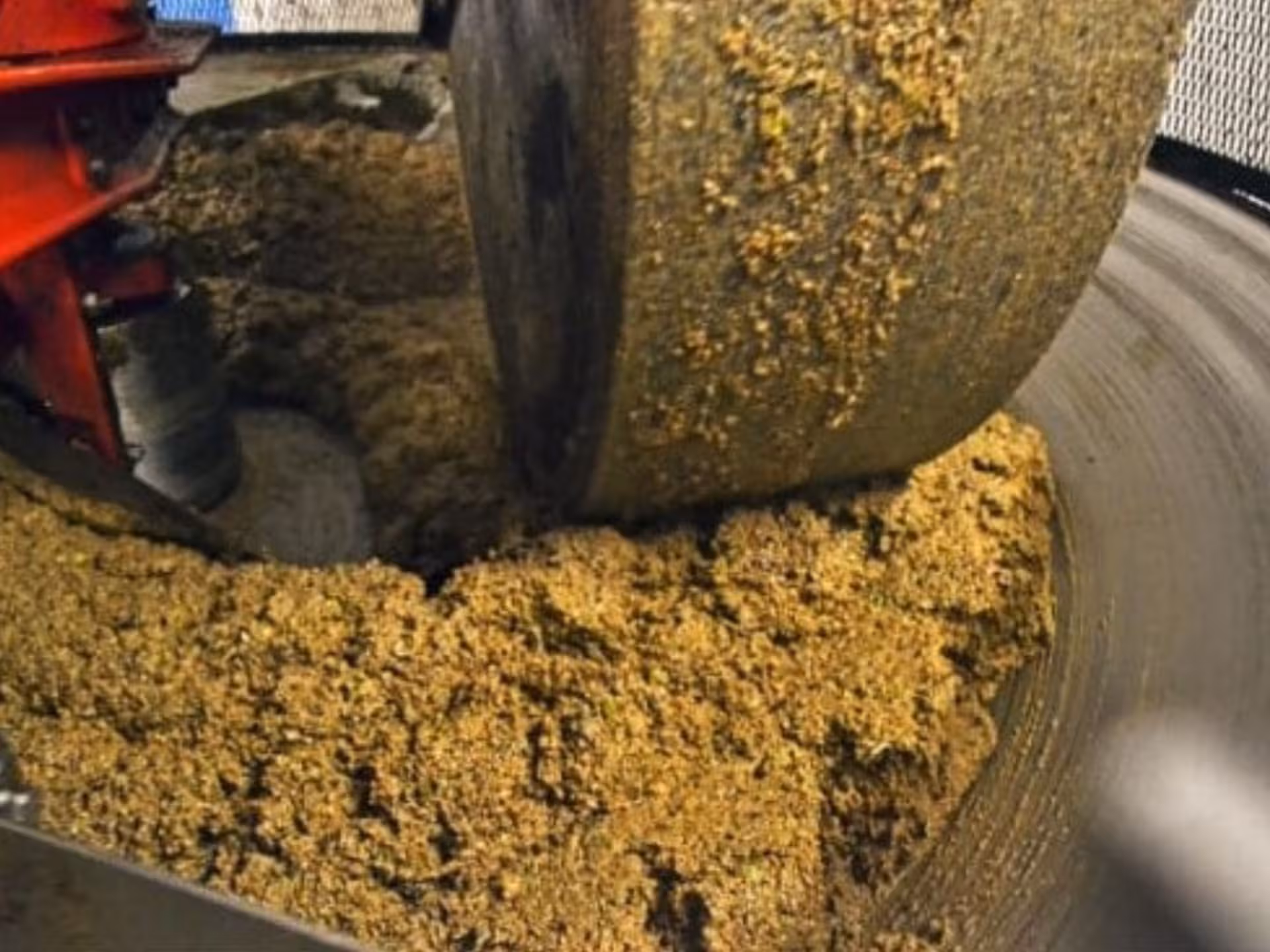 Traditional olive crushing stone in action at a Taggia olive mill, showcasing authentic oil production process.