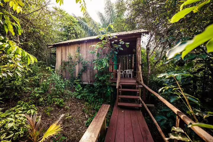 Experience rustic charm at Tapiri Rio Negro Lodge's wooden cabin nestled in lush Amazon jungle surroundings.