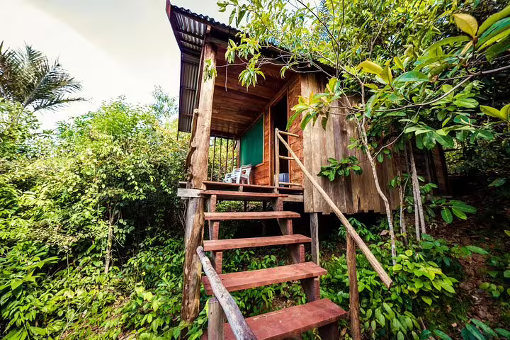 Rustic wooden cabin surrounded by lush jungle at Tapiri Rio Negro Lodge, ideal for an immersive Amazon adventure.