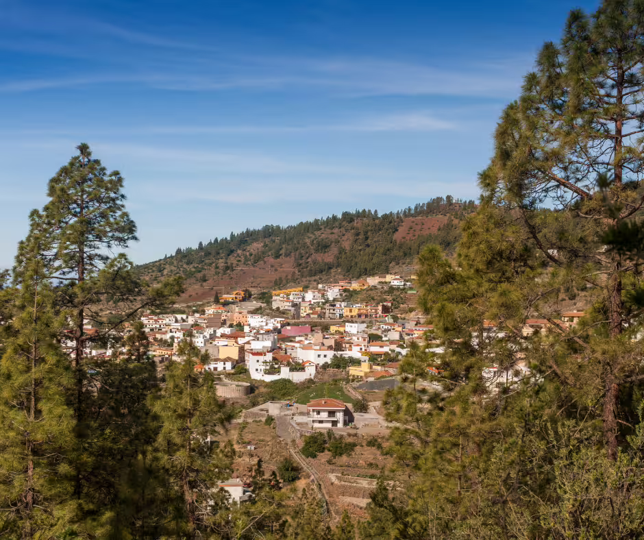 Charming hillside village nestled among lush trees on Tenerife, offering cultural exploration near Teide.