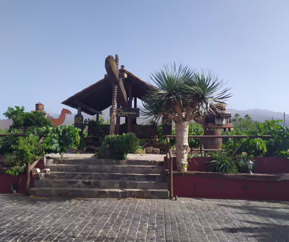 Scenic view of a rustic Canarian vineyard entrance surrounded by lush greenery, part of the Teide bodega visit tour.