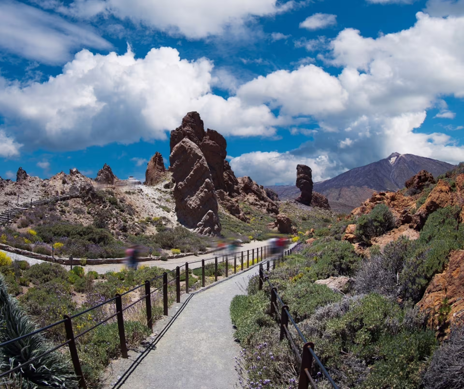 Explore the stunning volcanic landscapes and rock formations of Teide National Park on a private shore excursion.