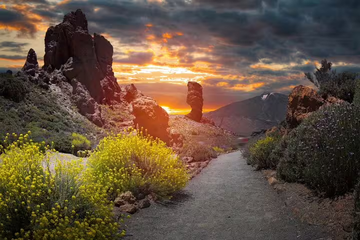 Scenic sunset view of Teide National Park with dramatic rock formations and vibrant wildflowers.