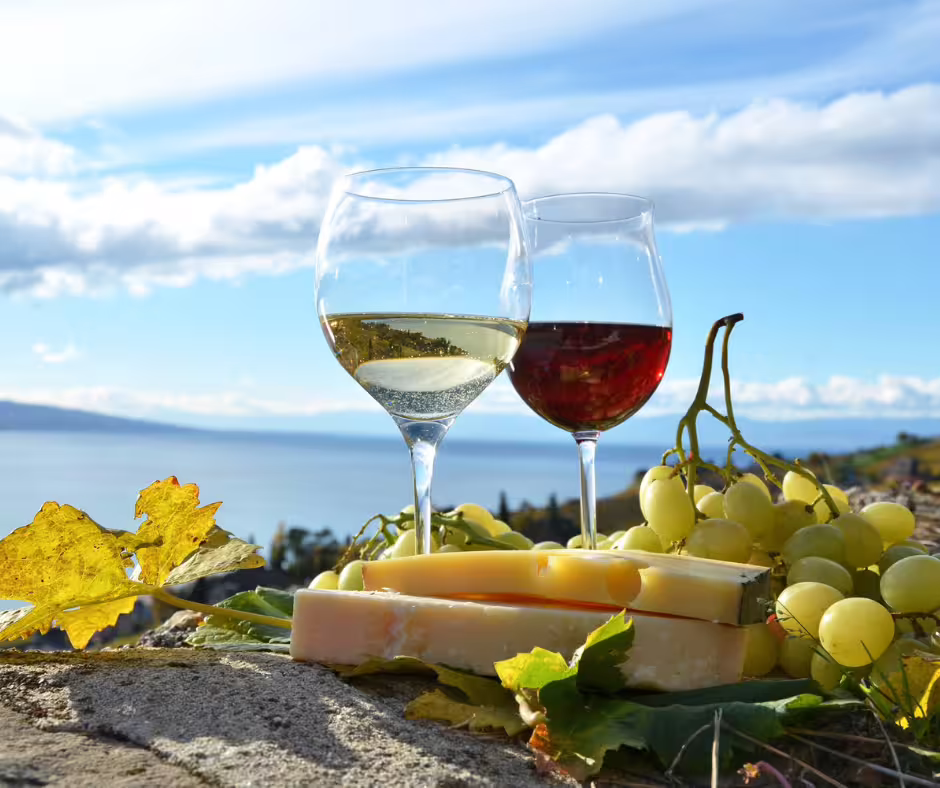 Two wine glasses and cheese with grapes overlooking scenic Tenerife coast during Teide wine tour.
