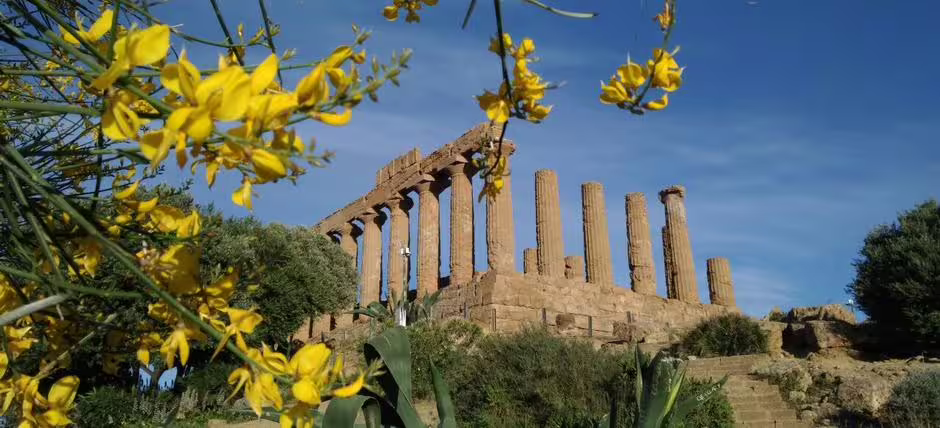 Temple ruins framed by yellow blooms in Agrigento Valley of the Temples, Palermo to Syracuse stopover excursion