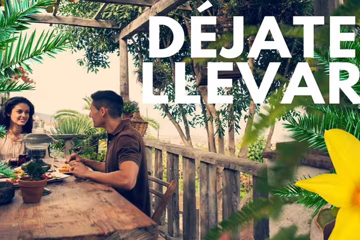 Enjoy a delightful outdoor dining experience with lush greenery on the Tenerife Enogastronomic Tour.