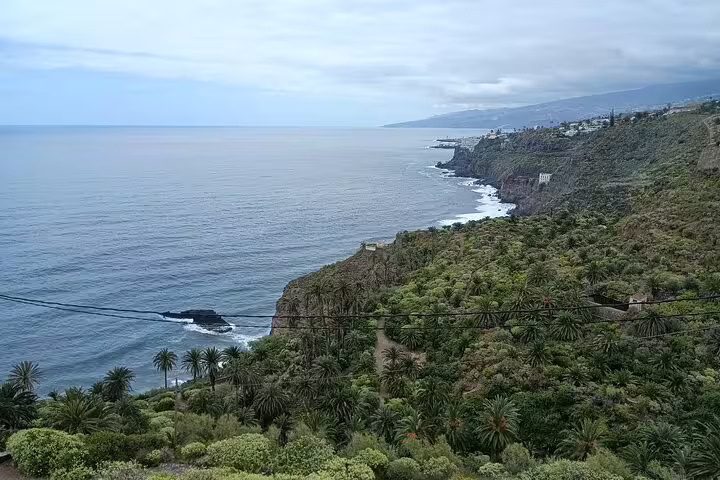 Scenic view of Tenerife's north coast with lush cliffs meeting the vast Atlantic Ocean.