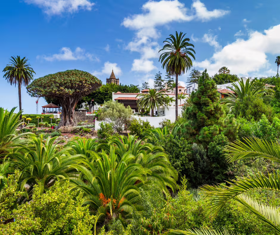 Lush palm trees and traditional architecture in a picturesque Tenerife village on private island tour.