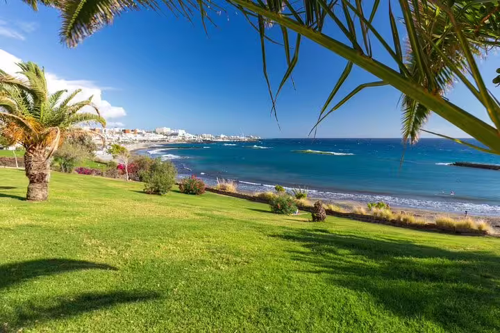 Scenic coastal view in Tenerife with lush green lawns and palm trees overlooking the serene blue ocean.