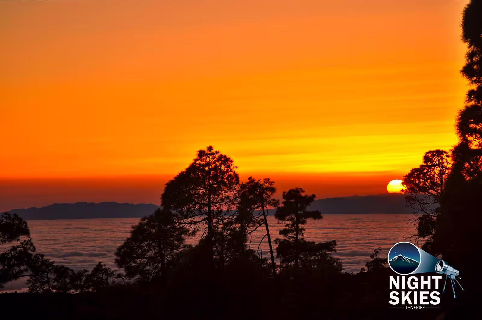 Vibrant Tenerife sunset with silhouetted trees against an orange sky, perfect for a self-drive stargazing tour.
