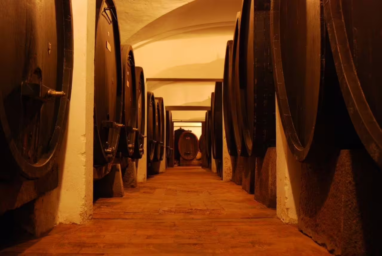 Oak barrel aging corridor at Tenuta Bossi winery, setting for Explore Elegance tasting of 3 exquisite Tuscan wines