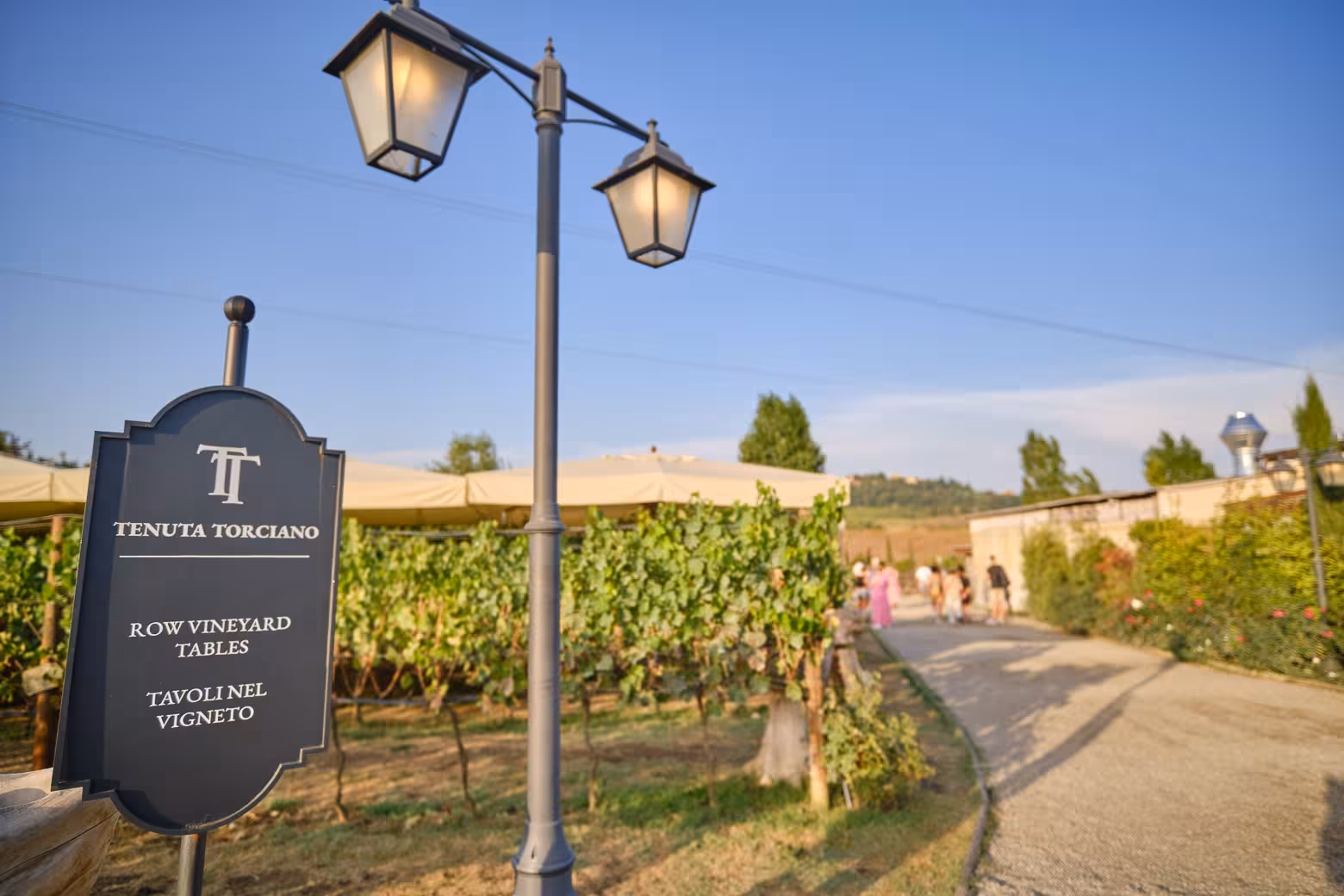 Entrance of Tenuta Torciano vineyard in Chianti with a sign and lush vines under a clear blue sky.