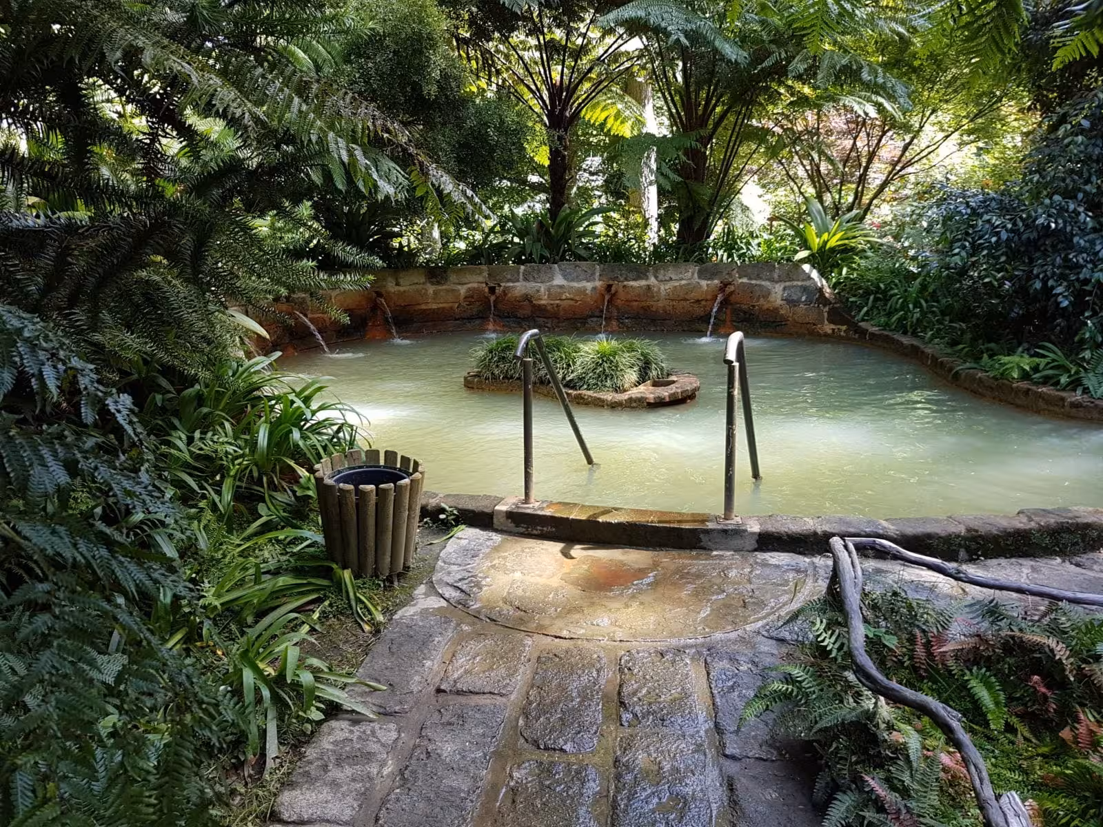 Terra Nostra Garden thermal pool in Furnas, São Miguel Azores, relaxing hot spring stop on Mystic Furnas tour