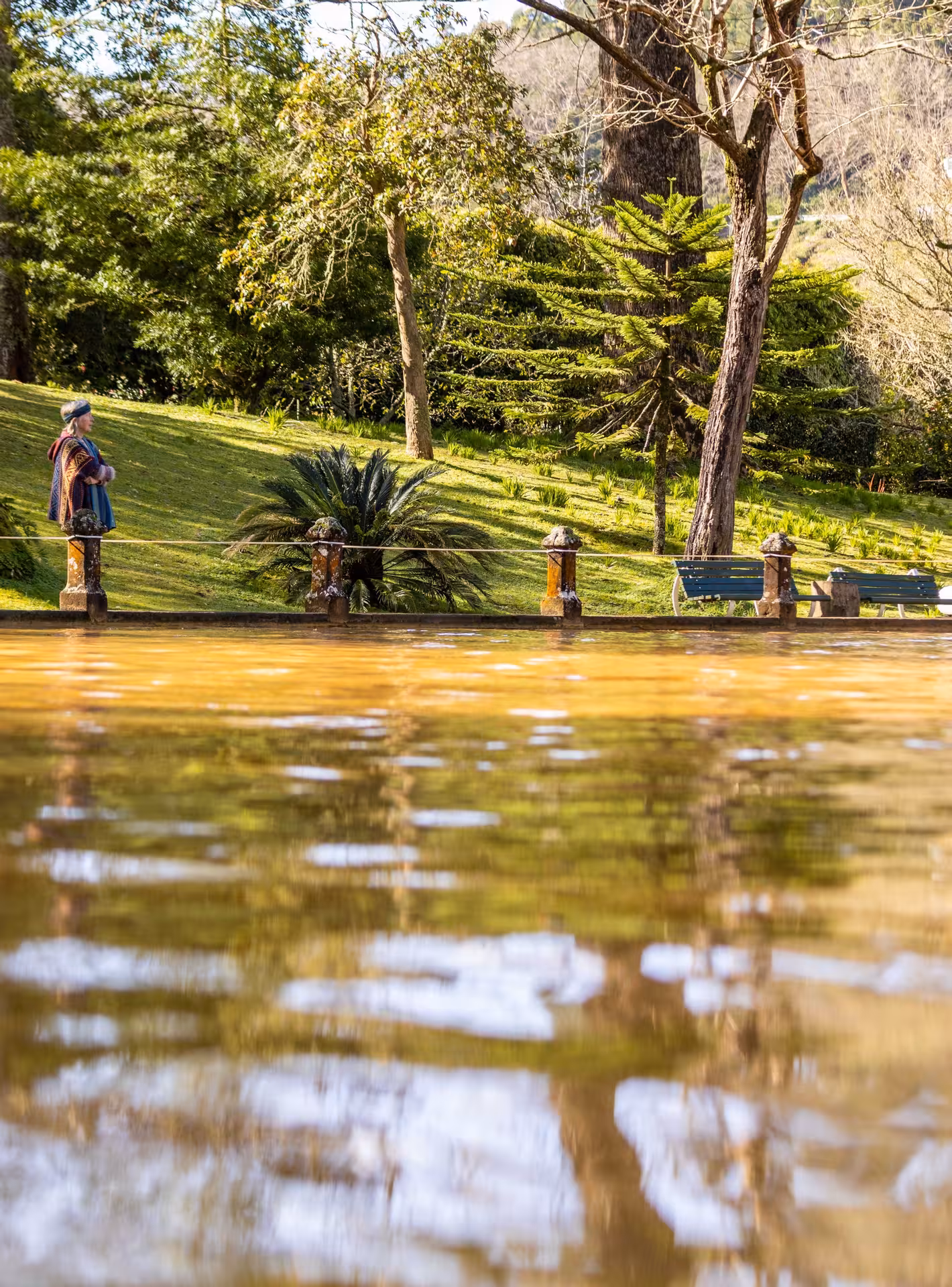 Terra Nostra Park in Furnas with golden thermal waters and lush gardens on São Miguel van tour with lunch