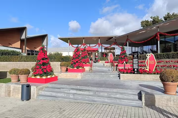 Festively decorated entrance of The Mall luxury outlets with red Christmas trees and stylish open-air shopping area