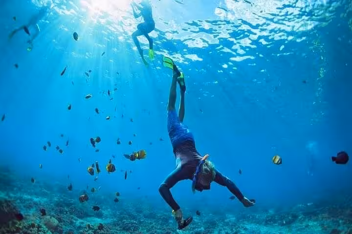Snorkelers exploring vibrant coral and tropical fish at Tiran Island on a Sharm El Sheikh tour