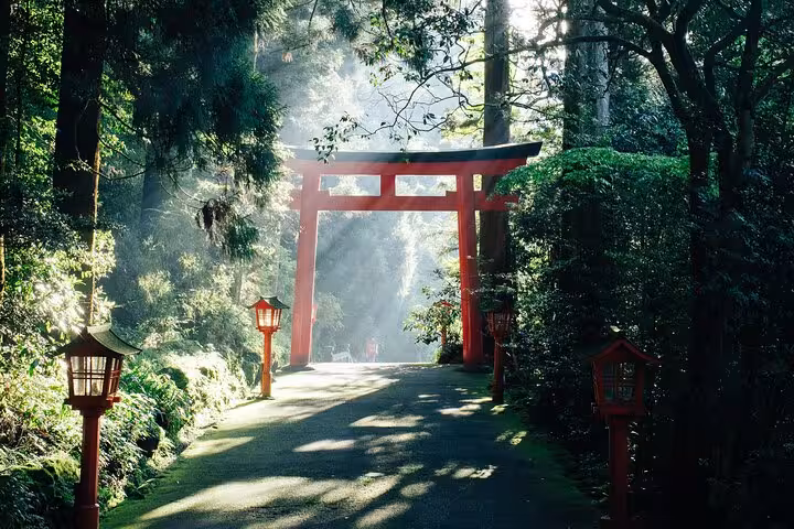 Enchanting forest path with a red torii gate in Hakone, part of the customizable Tokyo to Hakone tour.
