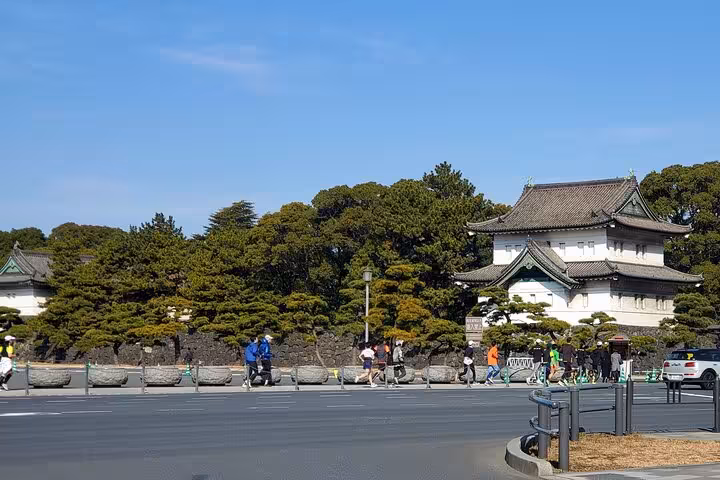 Scenic view of Tokyo Imperial Palace surrounded by lush greenery, ideal for a cultural stop on a private tour.