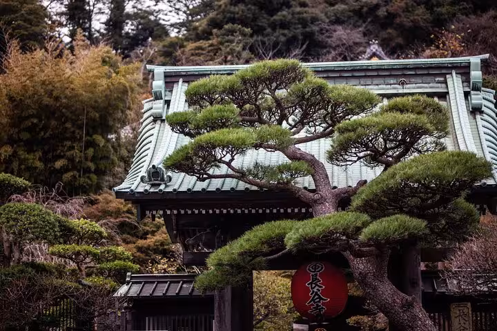 A traditional Japanese temple gate framed by a bonsai tree, featured on the Tokyo to Kamakura English Guided Private Tour.