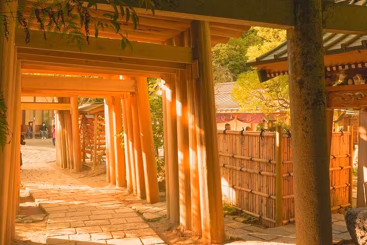 Pathway through traditional wooden torii gates at a picturesque Japanese shrine, part of the Kamakura guided tour.