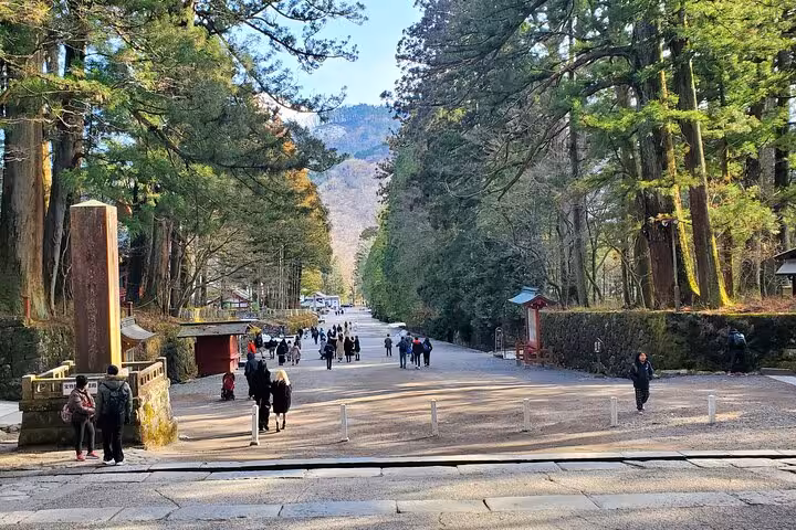 Scenic view of Nikko's cedar-lined pathway, a highlight on the Tokyo to Nikko private guided tour.