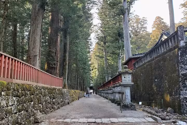 Explore the serene cedar-lined pathway in Nikko, Japan, part of the Tokyo to Nikko English Guided Private Tour.