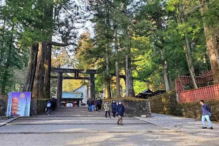 Visitors exploring historic shrine entrance surrounded by tall trees on Tokyo to Nikko tour.