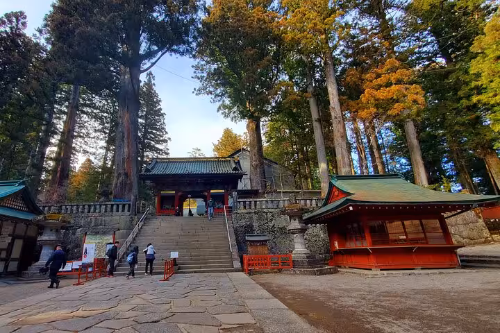 Ancient stone steps and vibrant red shrine buildings surrounded by tall trees in Nikko, perfect for cultural exploration.