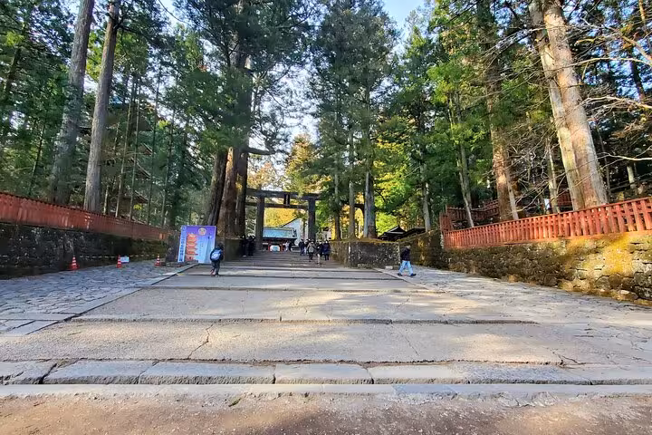 Pathway through towering trees leading to a traditional torii gate in Nikko, Japan, ideal for a guided private tour.