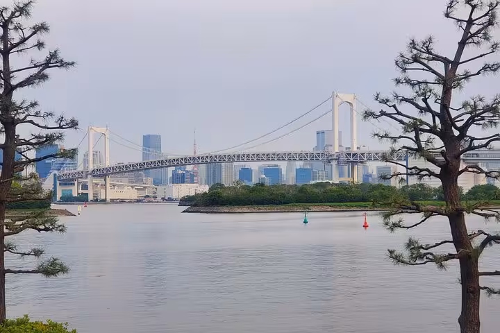 Scenic view of Tokyo's iconic Rainbow Bridge framed by trees, perfect for a customizable private tour experience.