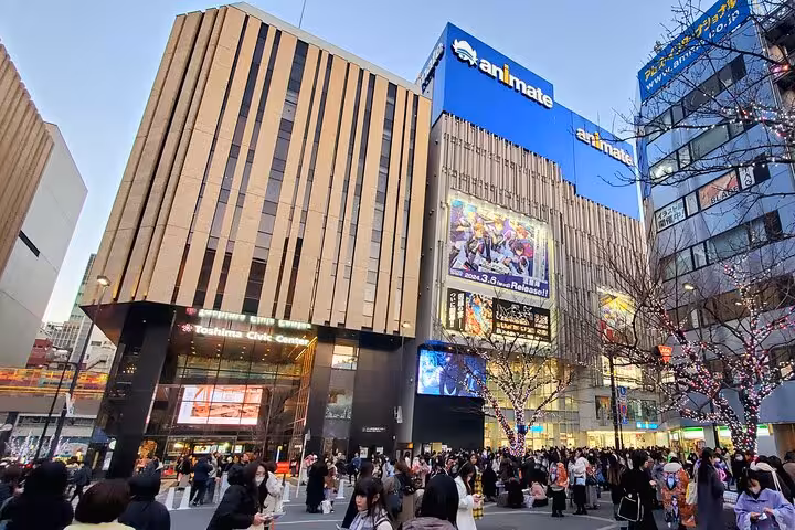 Lively Tokyo street scene featuring illuminated buildings and crowds, ideal for a customizable private tour.
