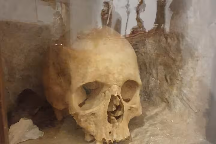 Discover ancient history at Tomar's museum featuring a preserved human skull, offering a glimpse into the past.