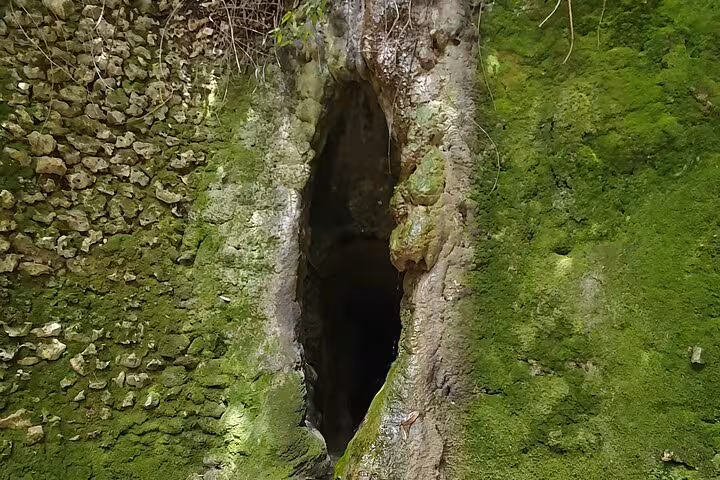 Moss-covered ancient stone wall with a natural opening, highlighting the historic charm of Tomar's landscape.