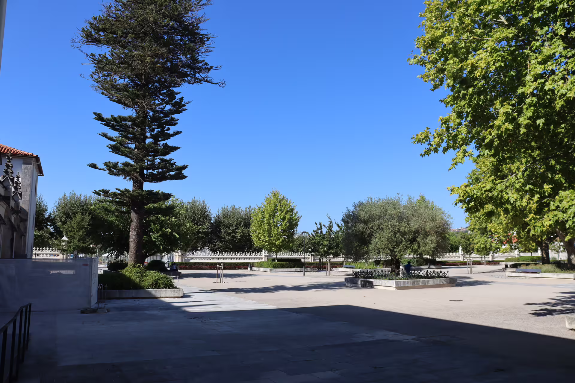Sunny courtyard at a historical site in Tomar, featuring lush trees and open spaces, ideal for exploring on a private tour.