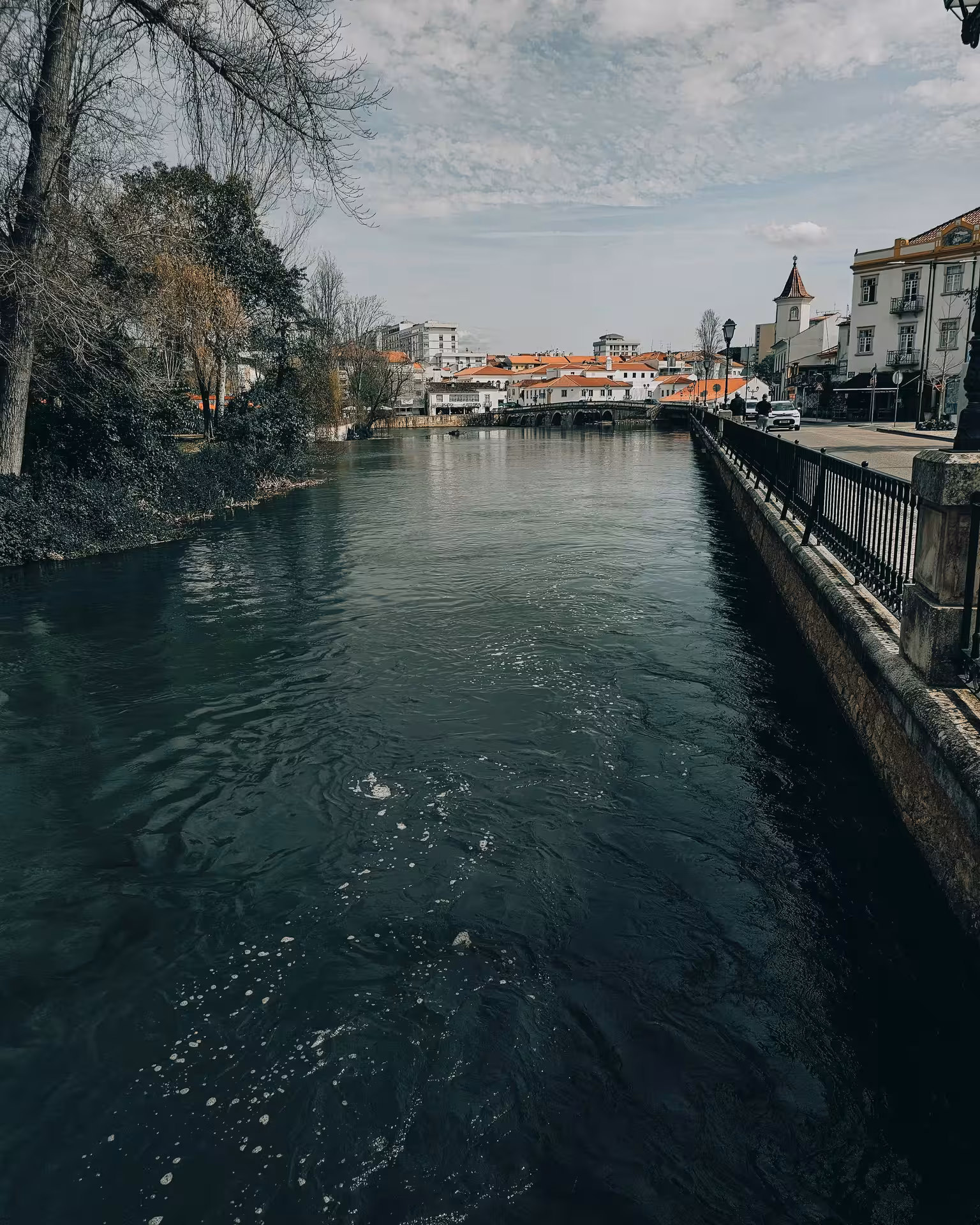 Charming riverside view of Tomar with traditional architecture and scenic waterway, highlighting the town's allure.