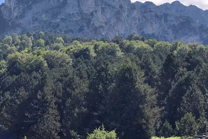 Thick forested area with majestic cliffs of Tomor Mountain, a highlight of the Dardhe Adventure Hiking Tour.