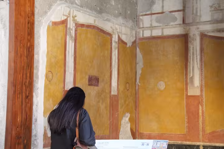 Tourist admiring frescoes in Pompeii, part of a day trip from Rome with guided exploration.