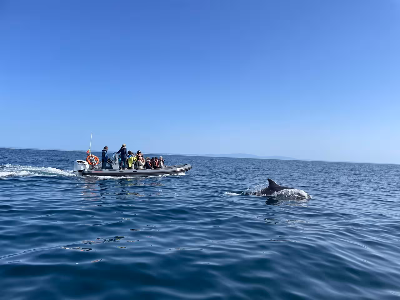 Tourists on a boat enjoy close-up views of dolphins during an exhilarating dolphin watching excursion.