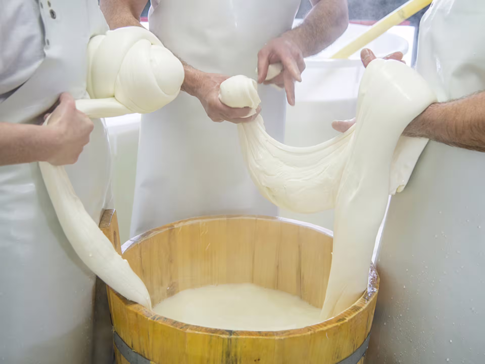 Artisans crafting traditional cheese by hand at a cheese factory in the scenic Isernia countryside.