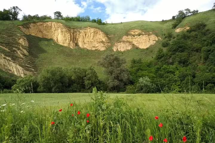 Green meadow with red poppies, rocky cliffs and lush hills in Transylvania countryside