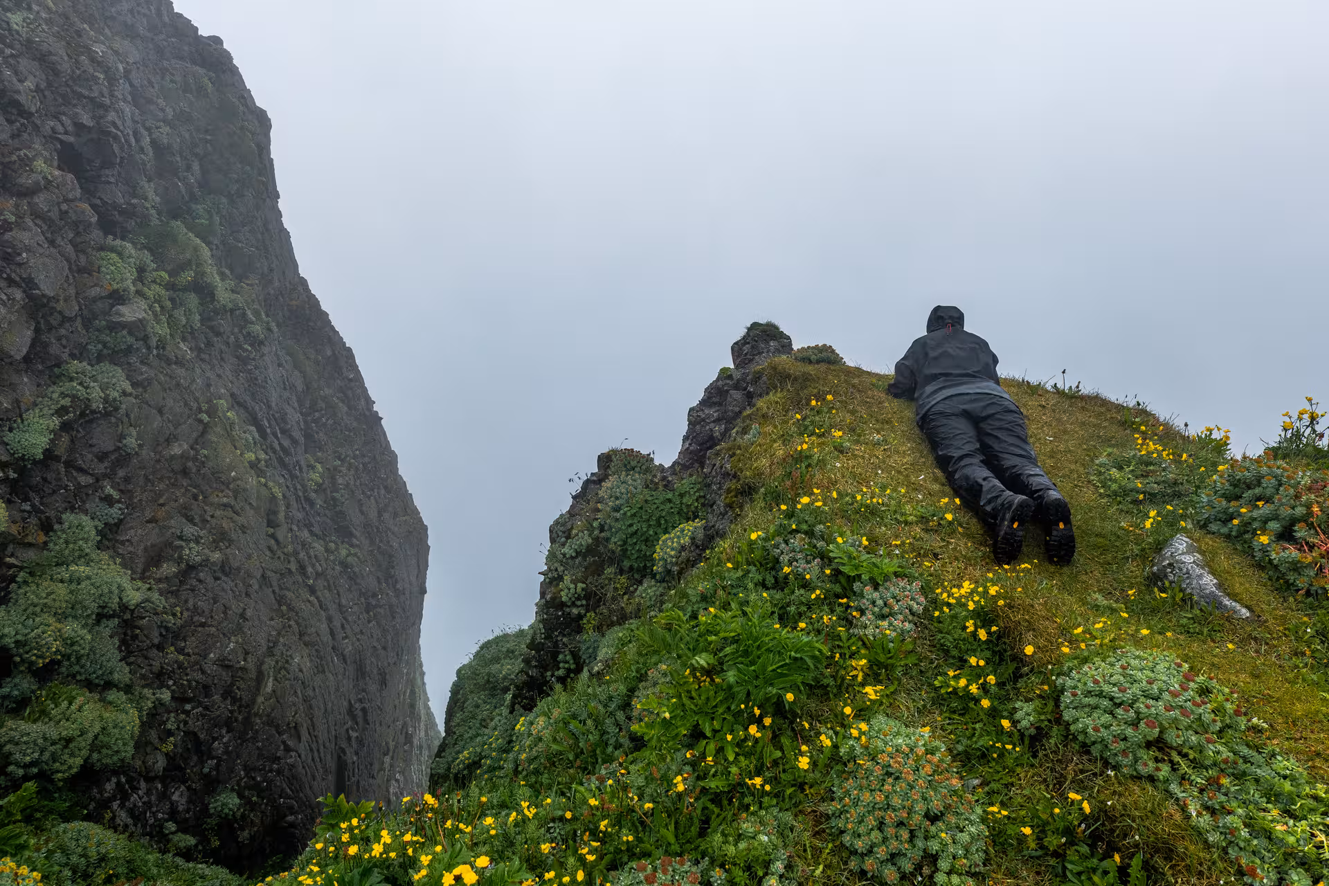 Traveler lying at cliff edge above Hornvík valley, Westfjords Iceland, on adventurous day hike tour