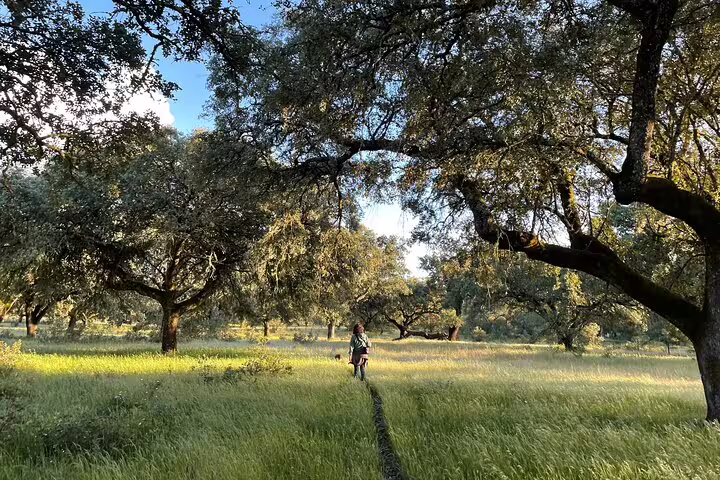 Traveler walking through lush fields surrounded by cork oaks at Herdade Alentejo, ideal for a serene nature tour.
