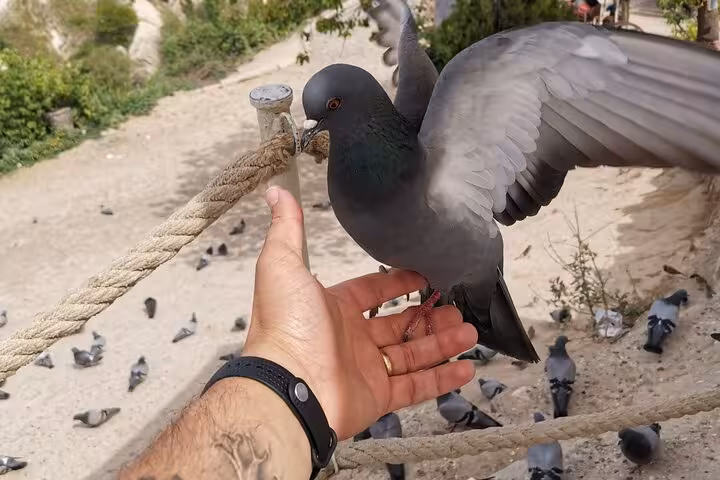Traveler hand-feeding a pigeon in Cappadocia village stop on private Cappadocia and Gobeklitepe tour