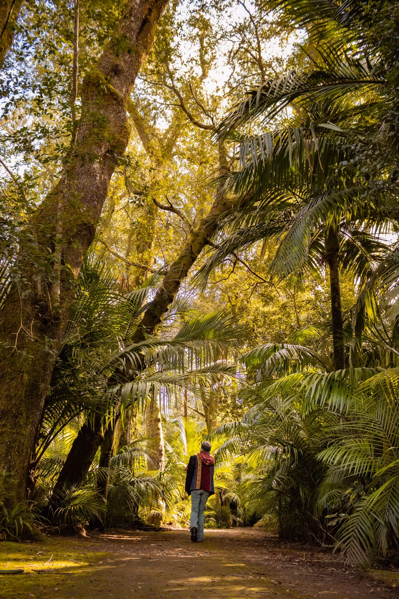 Traveler walking through Terra Nostra Garden in Furnas, Azores, on Mystic Furnas canoeing and spa day tour