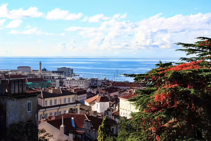 Panoramic view over Trieste rooftops and Adriatic Sea from a scenic hillside lookout on a hidden gems private walking tour